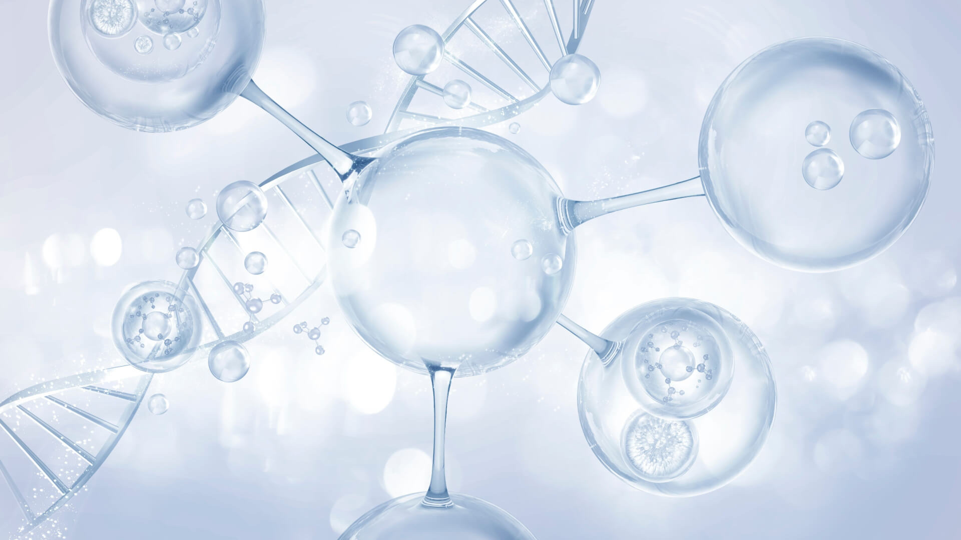 NAD+ peptide injections | Shaanxi Bloom Tech NAD+ peptide injections | Shaanxi Bloom Tech