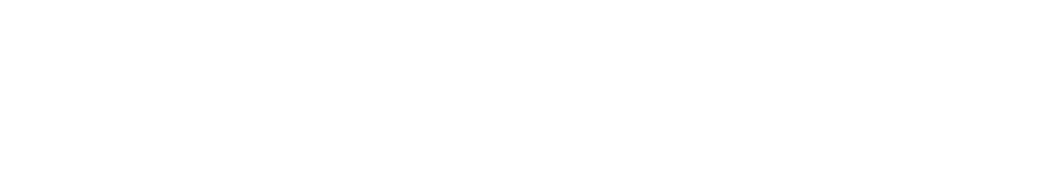 Gladiator IRX Bed